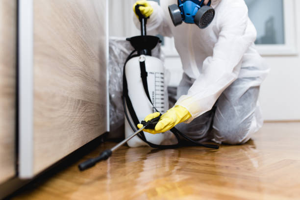 Best Pest Control Near Me  in Fort Stockton, TX