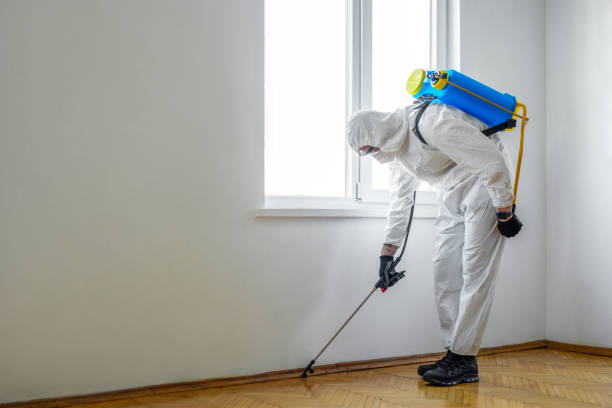 Best Residential Pest Control  in Fort Stockton, TX