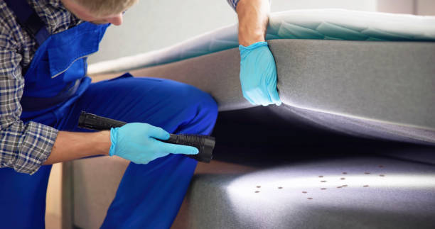 Trusted Fort Stockton, TX Pest Control Experts