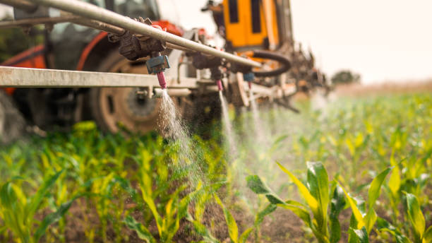 Pest Control Cost in Fort Stockton, TX